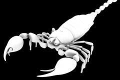 scorpion_basemesh_01