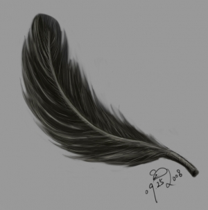 feather_092508