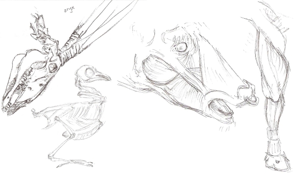 animal_body_world_02_lg