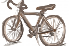 sbike_070108_01