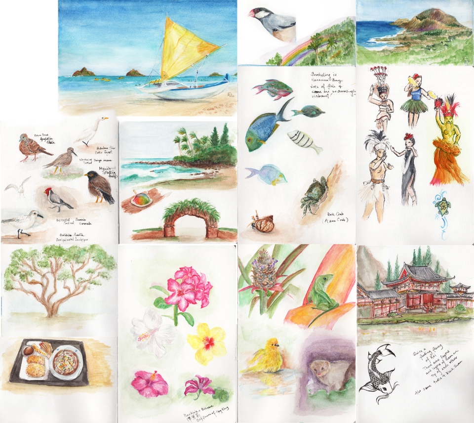 Oahu Watercolor Travel Journal
