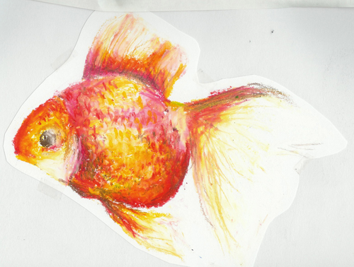 goldfish_01