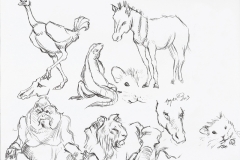 20130820_animalsketches_001
