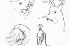 2014_animalsketches_001