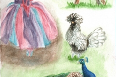 Kangeroo Creek farm