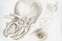 dinosketch_110410_01