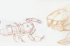 scorpion_072911_01