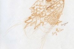 sungazer_072911