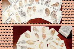 Owls_Advent_Cards