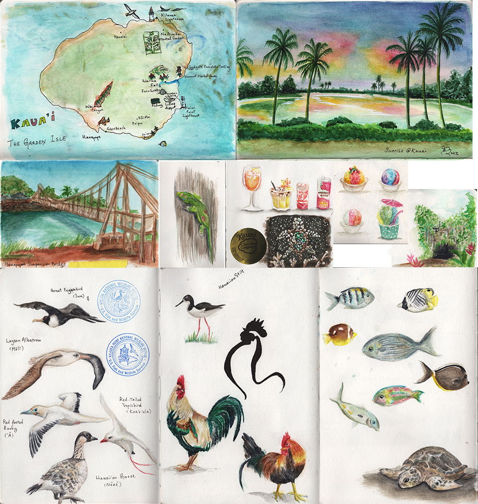 2025 Kauai travel journal