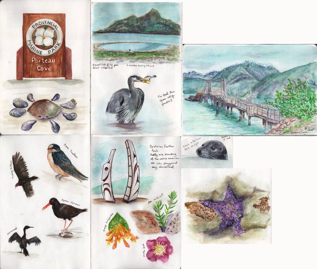 Travel journal for Porteau Cove camping trip